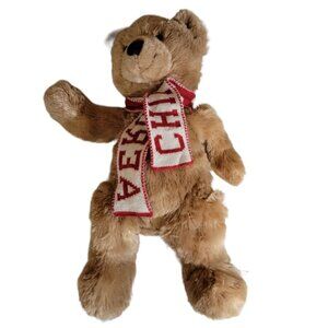Aeropostale Brown Teddy Bear 17 inch Plush Red Aero Chill Out Scarf 2011 Toy